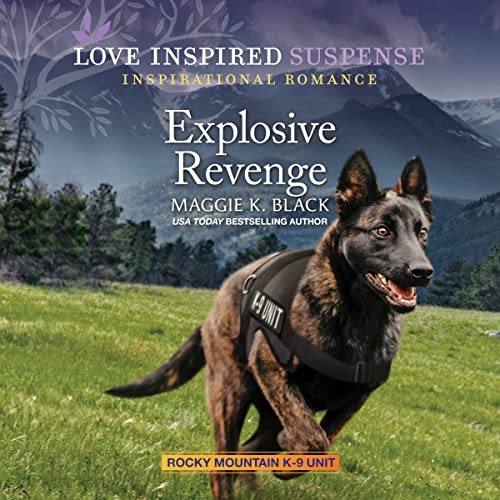 Cover of Explosive Revenge