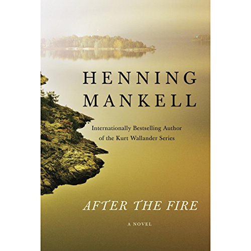 Cover of After the Fire