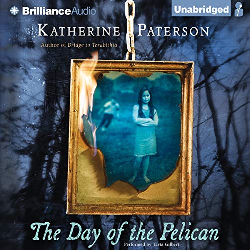 Cover of The Day of the Pelican
