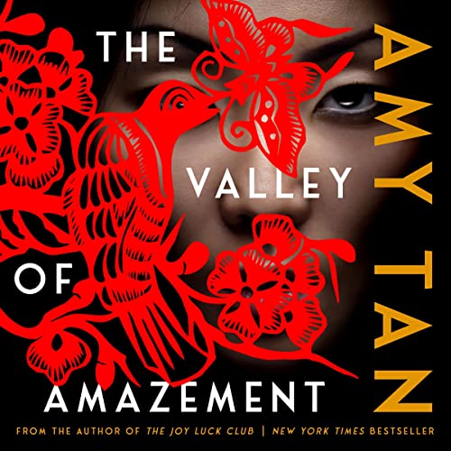 Cover of The Valley of Amazement