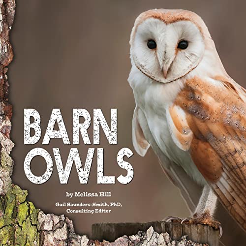 Cover of Barn Owls
