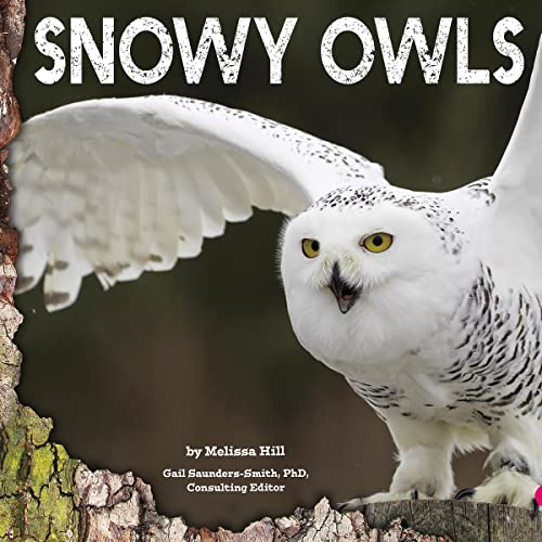 Cover of Snowy Owls
