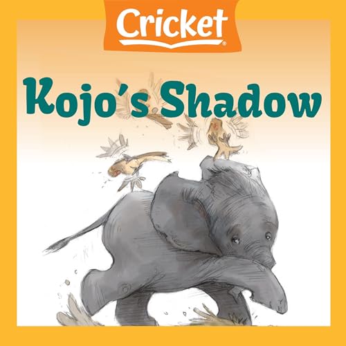 Cover of Kojo's Shadow