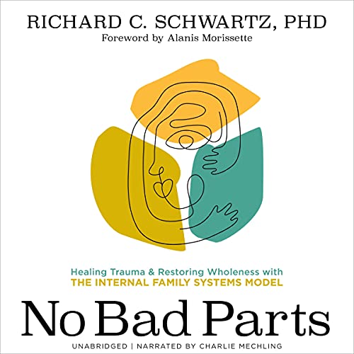 Cover of No Bad Parts