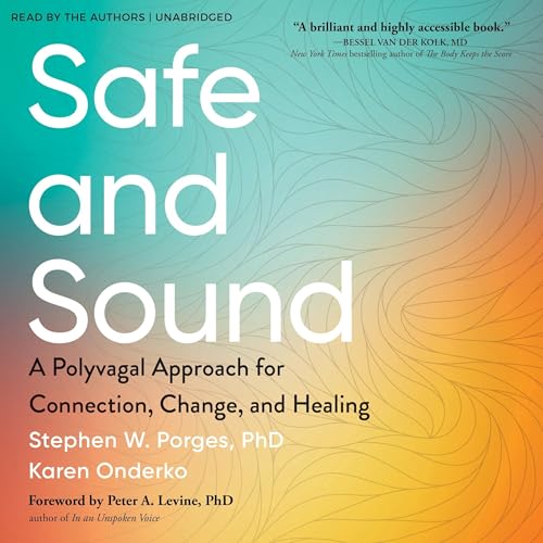 Cover of Safe and Sound