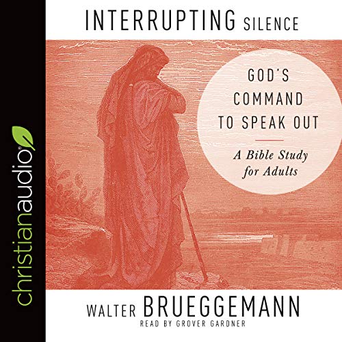 Cover of Interrupting Silence