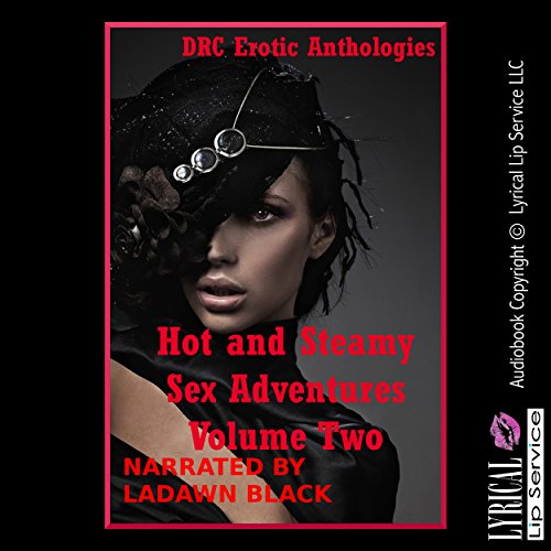 Cover of Hot and Steamy Sex Adventures Volume Two