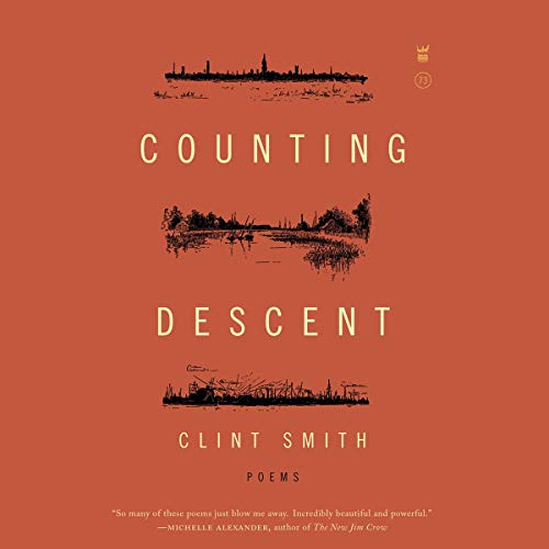 Cover of Counting Descent