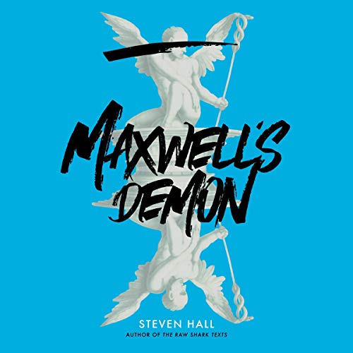Cover of Maxwell's Demon