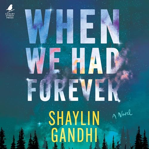 Cover of When We Had Forever