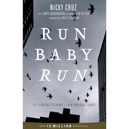 Cover of Run Baby Run
