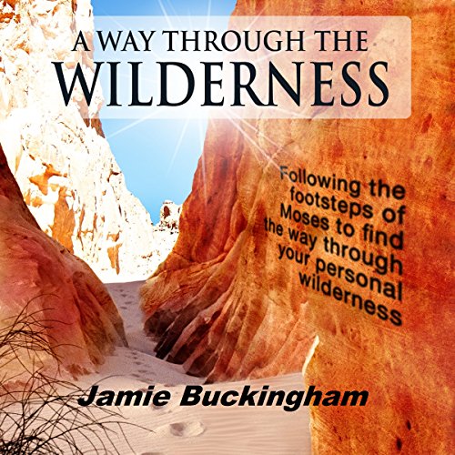 Cover of A Way Through the Wilderness