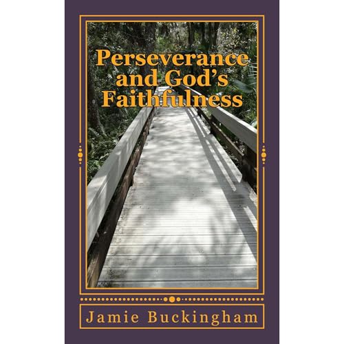 Cover of Perseverance and God's Faithfulness