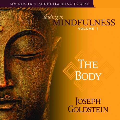 Cover of Abiding in Mindfulness, Volume 1