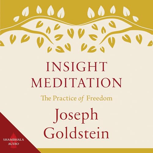 Cover of Insight Meditation