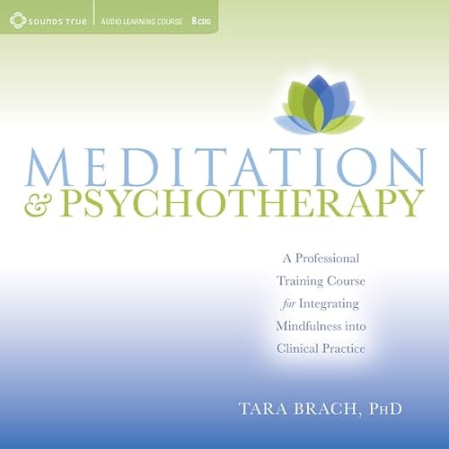 Cover of Meditation and Psychotherapy