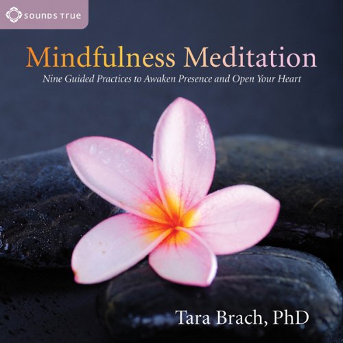 Cover of Mindfulness Meditation