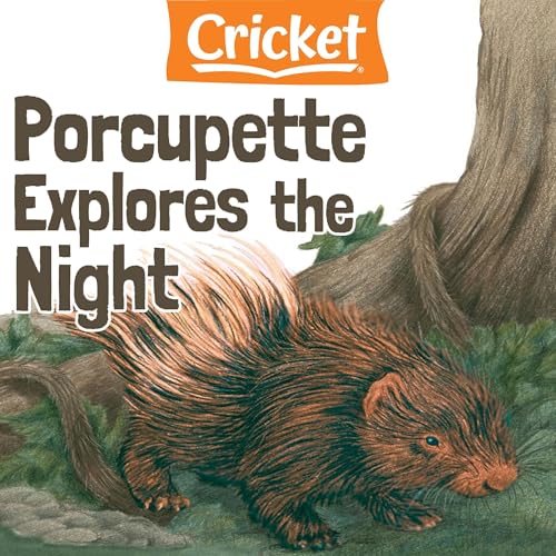 Cover of Porcupette Explores the Night