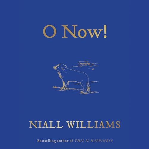 Cover of O Now!