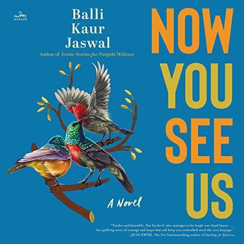 Cover of Now You See Us
