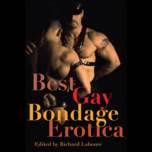Cover of Best Gay Bondage Erotica