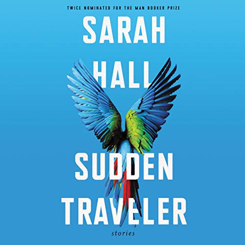 Cover of Sudden Traveler