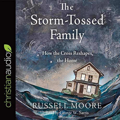 Cover of The Storm-Tossed Family