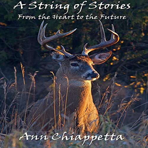 Cover of A String of Stories