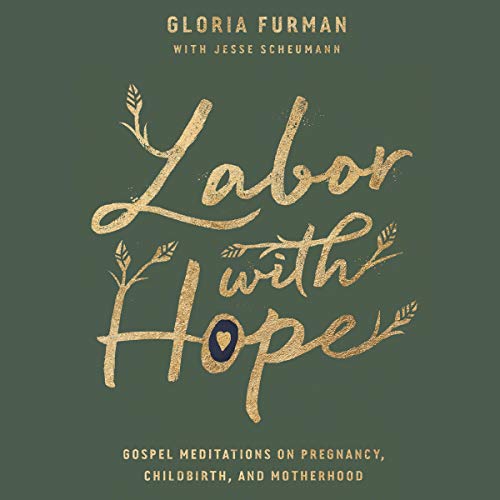 Cover of Labor with Hope