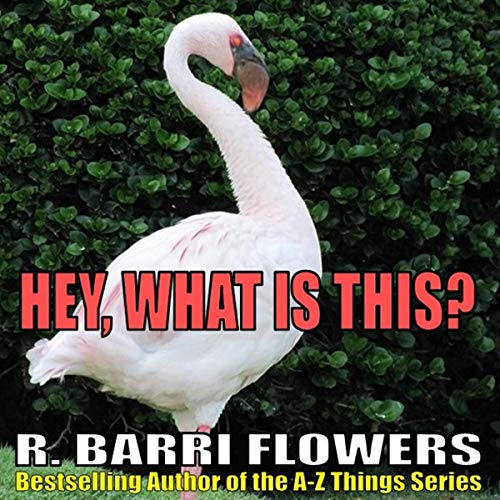 Cover of Hey, What Is This?