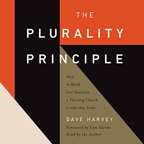 Cover of The Plurality Principle