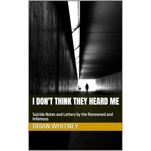 Cover of I Don't Think They Heard Me