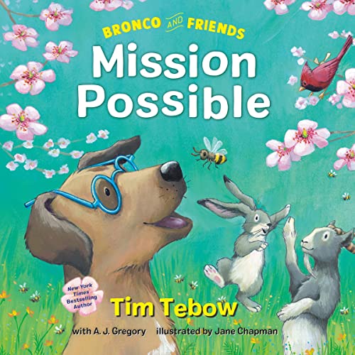 Cover of Bronco and Friends: Mission Possible