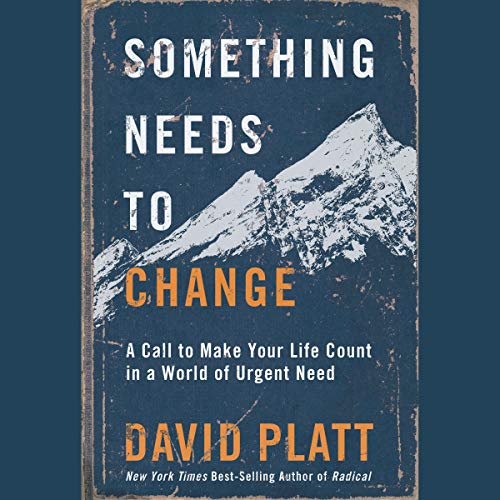 Cover of Something Needs to Change