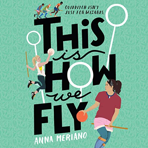 Cover of This Is How We Fly