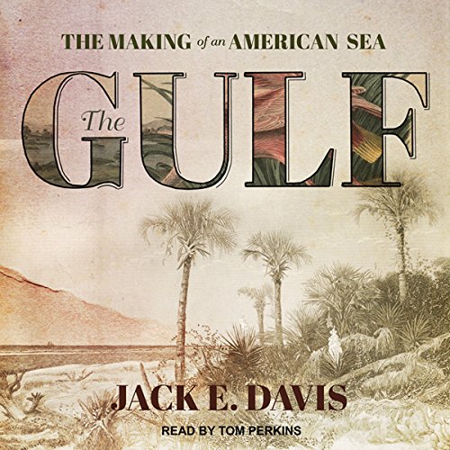 Cover of The Gulf