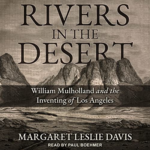 Cover of Rivers in the Desert