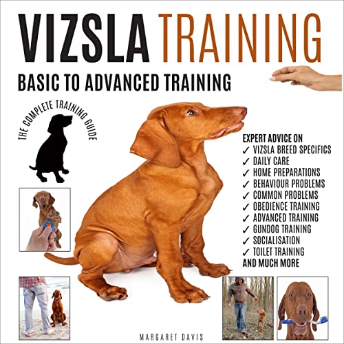 Cover of Vizsla Training: Basic to Advanced Training