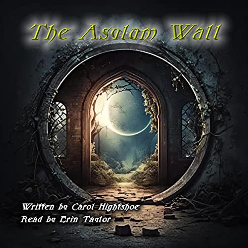 Cover of The Asylum Wall