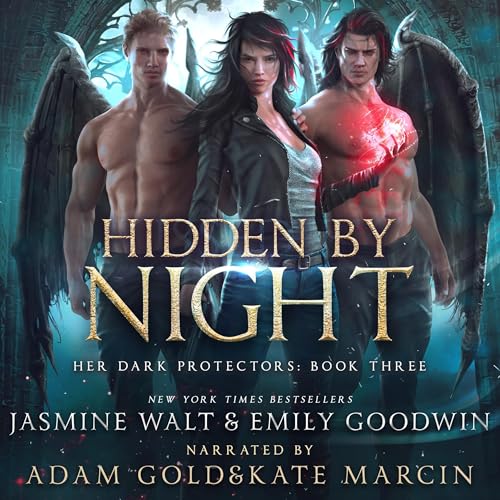Cover of Hidden by Night