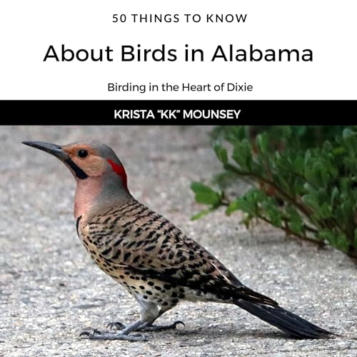 Cover of 50 Things to Know About Birds in Alabama