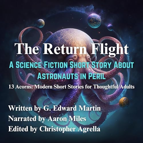Cover of The Return Flight