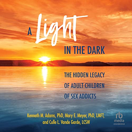 Cover of A Light in the Dark