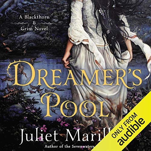 Cover of Dreamer's Pool