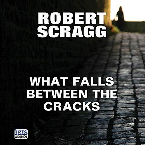 Cover of What Falls Between the Cracks