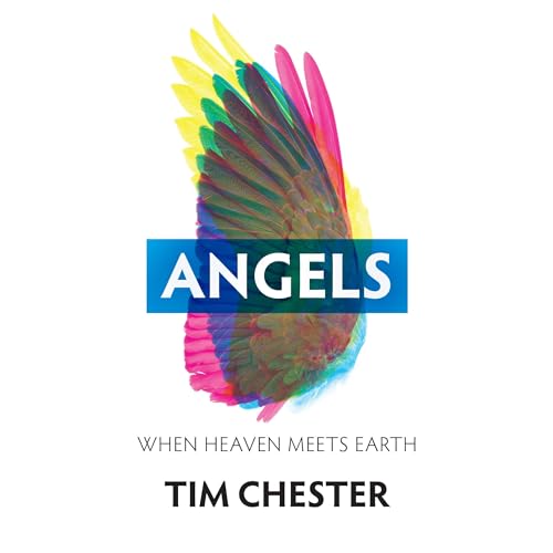 Cover of Angels
