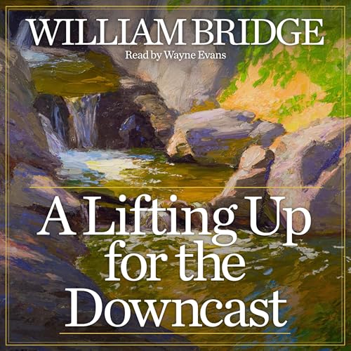 Cover of A Lifting Up for the Downcast