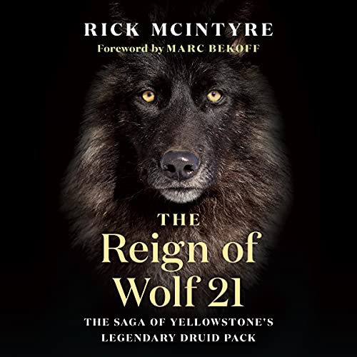 Cover of The Reign of Wolf 21
