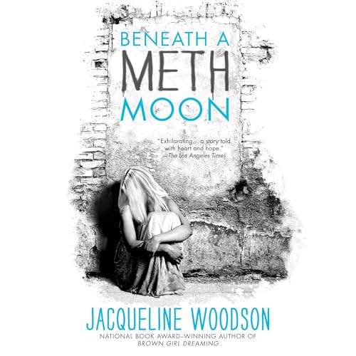Cover of Beneath a Meth Moon