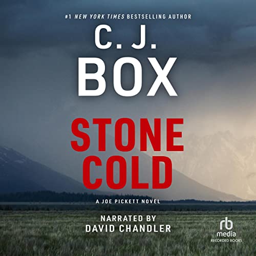 Cover of Stone Cold: Joe Pickett, Book 14